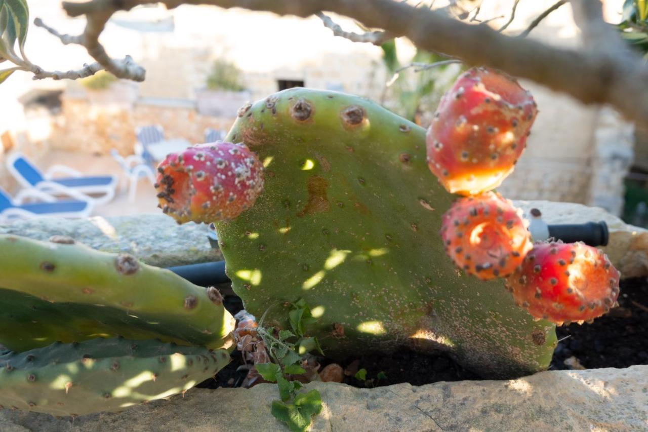 Prickly Pear Holiday Home No.1 San Lawrenz Екстер'єр фото